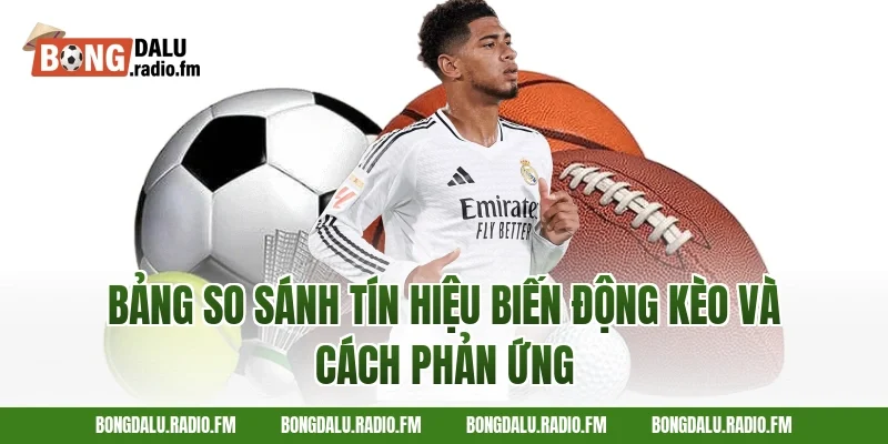 Bảng So Sánh Tín Hiệu Biến Động Kèo Và Cách Phản Ứng