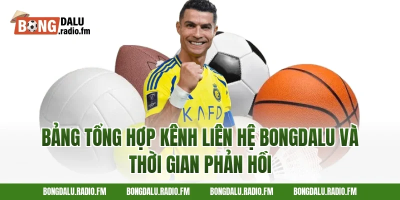 Bảng Tổng Hợp Kênh Liên Hệ Bongdalu Và Thời Gian Phản Hồi