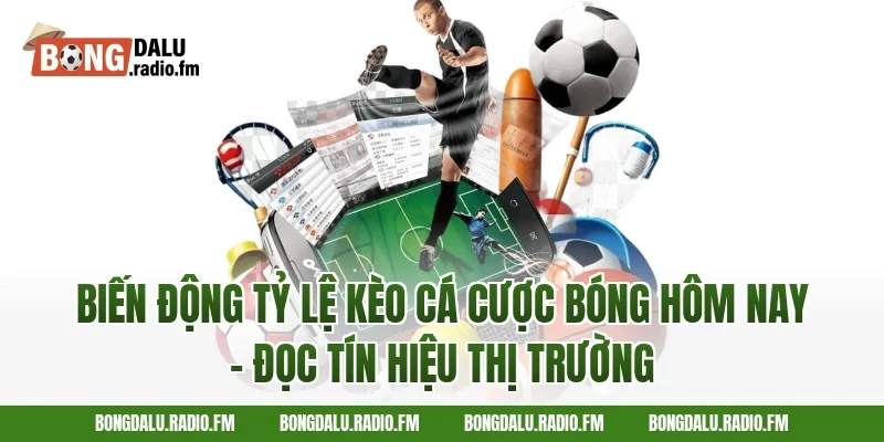 Biến Động Tỷ Lệ Kèo Cá Cược Bóng Hôm Nay – Đọc Tín Hiệu Thị Trường