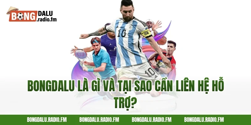 Bongdalu Là Gì Và Tại Sao Cần Liên Hệ Hỗ Trợ?