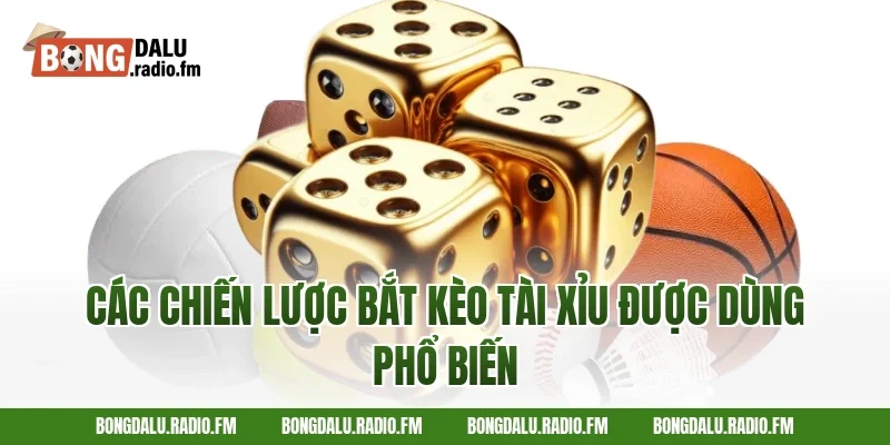 Các Chiến Lược Bắt Kèo Tài Xỉu Được Dùng Phổ Biến