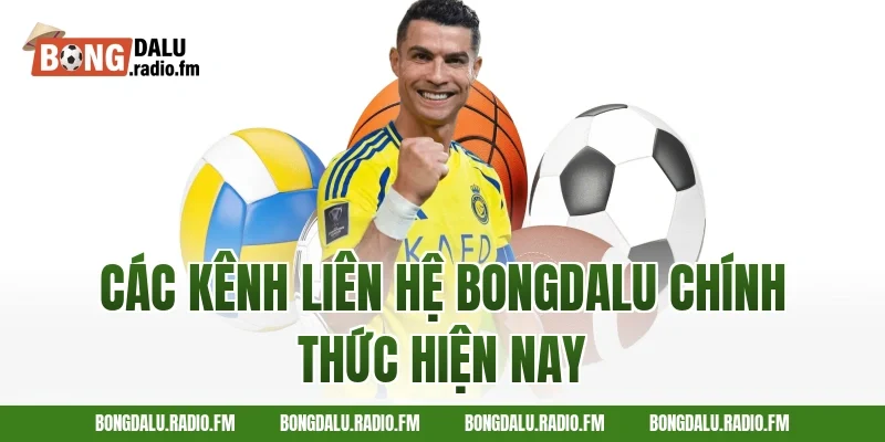 Các Kênh Liên Hệ Bongdalu Chính Thức Hiện Nay