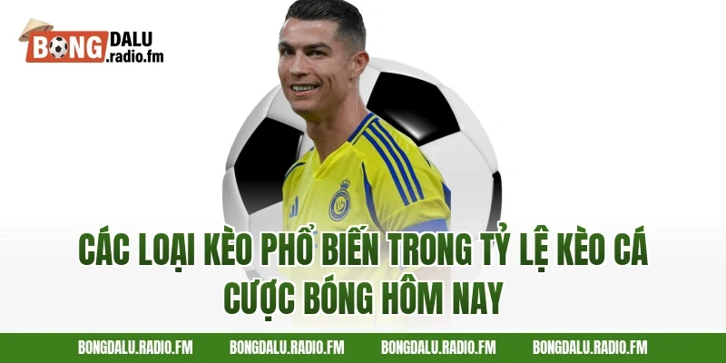 Các Loại Kèo Phổ Biến Trong Tỷ Lệ Kèo Cá Cược Bóng Hôm Nay