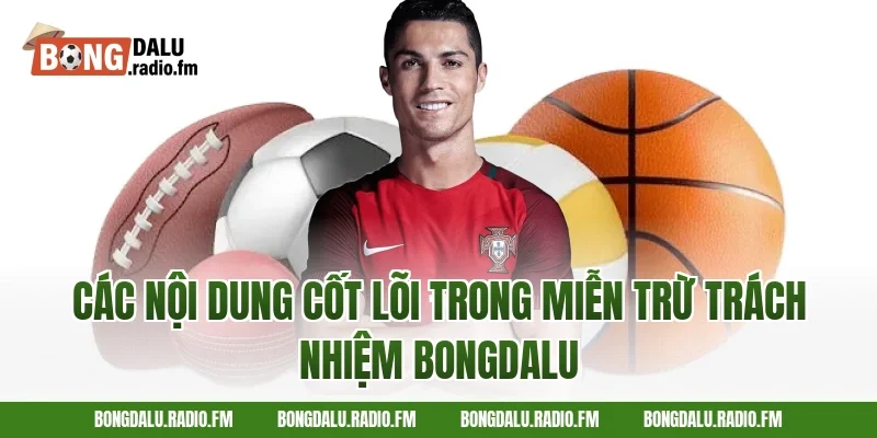 Các Nội Dung Cốt Lõi Trong Miễn Trừ Trách Nhiệm Bongdalu