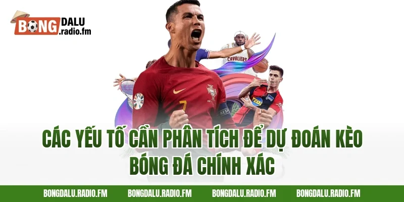 Các yếu tố cần phân tích để dự đoán kèo bóng đá chính xác