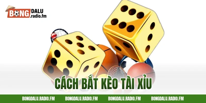 cách bắt kèo tài xỉu