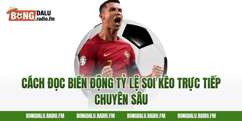 Cách Đọc Biến Động Tỷ Lệ Soi Kèo Trực Tiếp Chuyên Sâu