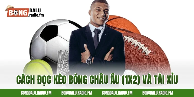 cách đọc kèo bóng châu Âu (1X2) và tài xỉu