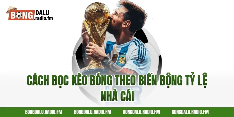 cách đọc kèo bóng theo biến động tỷ lệ nhà cái