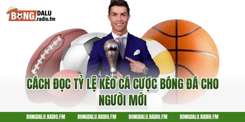 Cách đọc tỷ lệ kèo cá cược bóng đá cho người mới