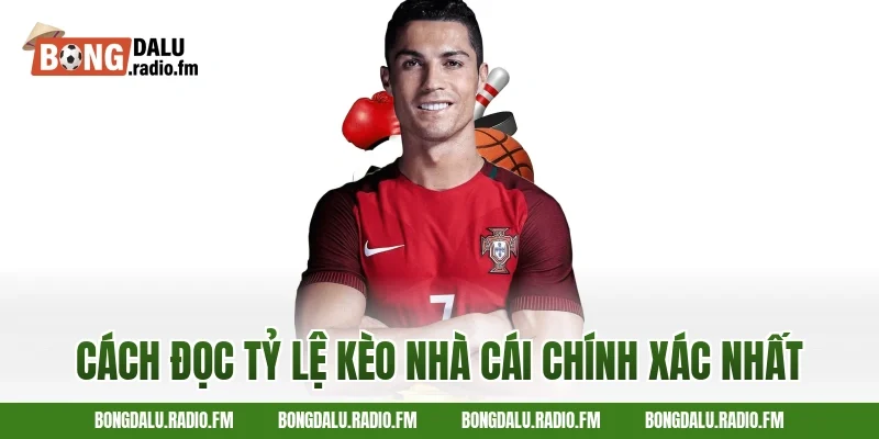 Cách Đọc Tỷ Lệ Kèo Nhà Cái Chính Xác Nhất