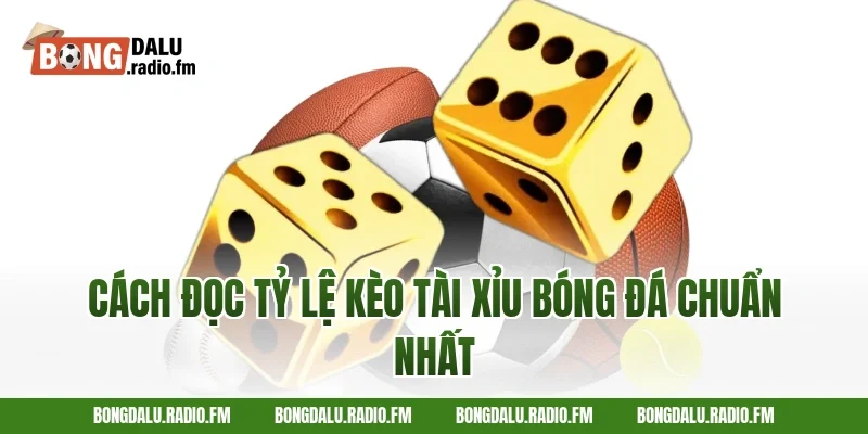 Cách Đọc Tỷ Lệ Kèo Tài Xỉu Bóng Đá Chuẩn Nhất