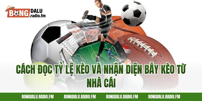 Cách Đọc Tỷ Lệ Kèo Và Nhận Diện Bẫy Kèo Từ Nhà Cái