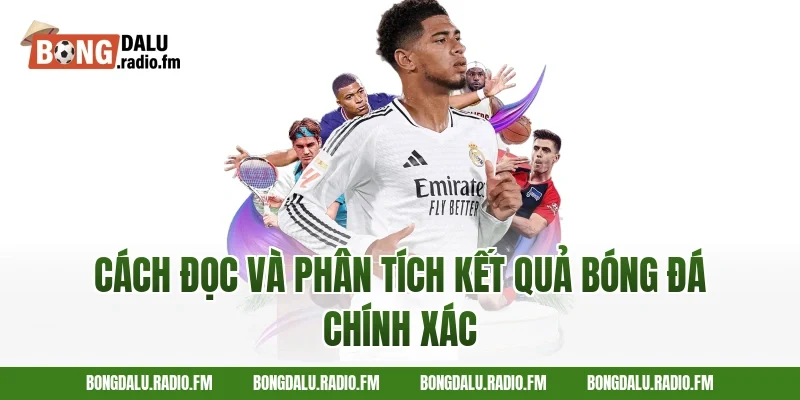 Cách Đọc Và Phân Tích Kết Quả Bóng Đá Chính Xác