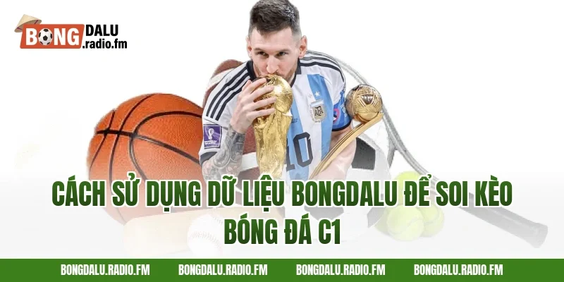 Cách sử dụng dữ liệu Bongdalu để soi kèo bóng đá C1
