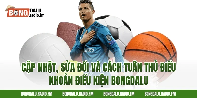 Cập nhật, sửa đổi và cách tuân thủ điều khoản điều kiện Bongdalu