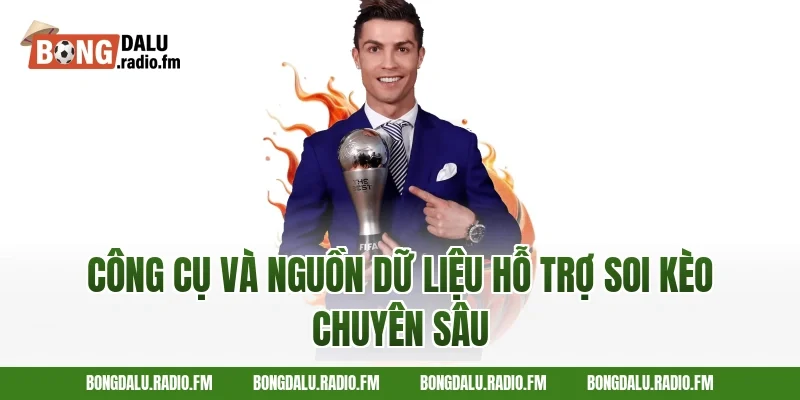 Công Cụ Và Nguồn Dữ Liệu Hỗ Trợ Soi Kèo Chuyên Sâu