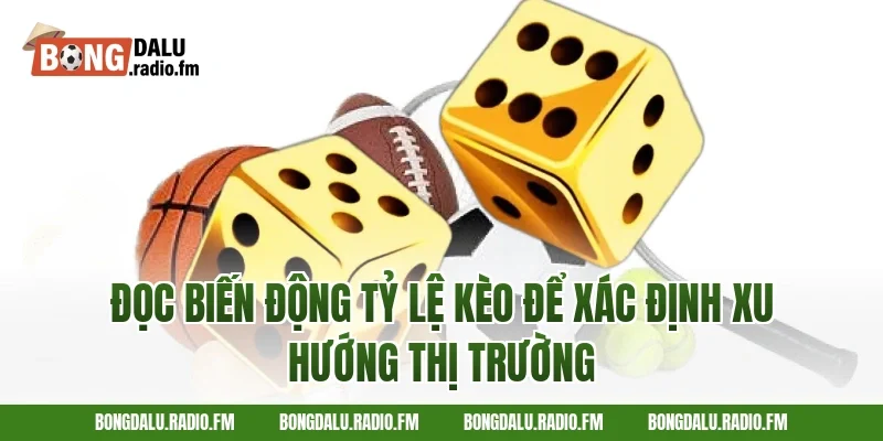 Đọc Biến Động Tỷ Lệ Kèo Để Xác Định Xu Hướng Thị Trường