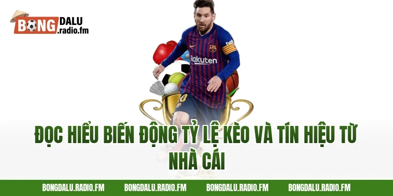 Đọc Hiểu Biến Động Tỷ Lệ Kèo Và Tín Hiệu Từ Nhà Cái