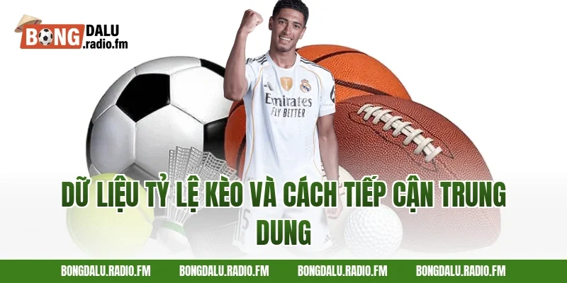 Dữ liệu tỷ lệ kèo và cách tiếp cận trung dung