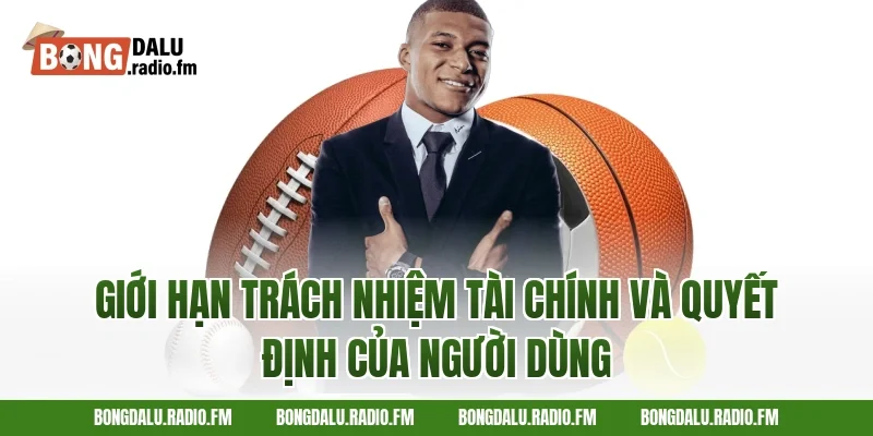 Giới Hạn Trách Nhiệm Tài Chính Và Quyết Định Của Người Dùng