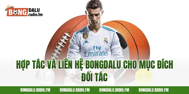 Hợp Tác Và Liên Hệ Bongdalu Cho Mục Đích Đối Tác