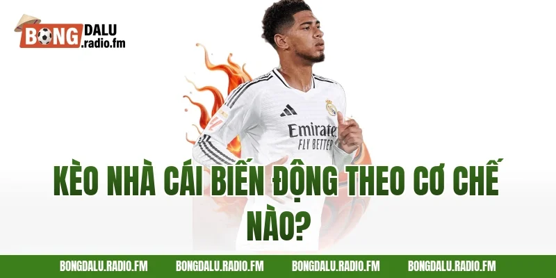 Kèo Nhà Cái Biến Động Theo Cơ Chế Nào?