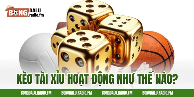 Kèo Tài Xỉu Hoạt Động Như Thế Nào?