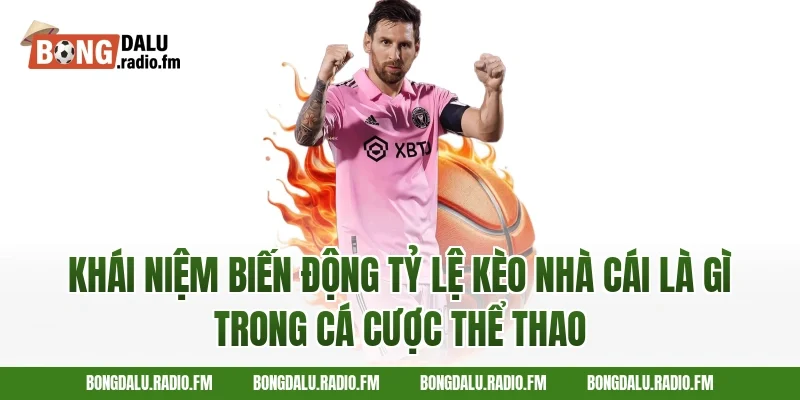 Khái niệm biến động tỷ lệ kèo nhà cái là gì trong cá cược thể thao