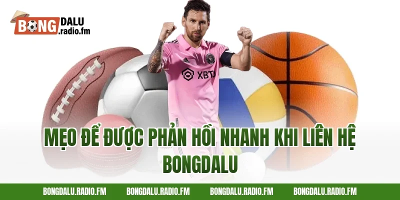 Mẹo Để Được Phản Hồi Nhanh Khi Liên Hệ Bongdalu