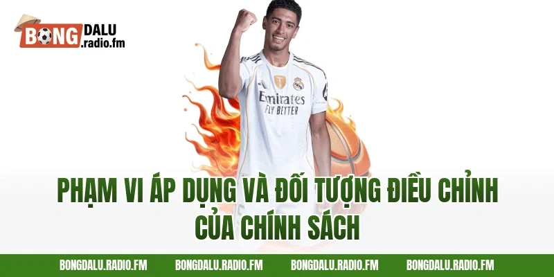Phạm Vi Áp Dụng Và Đối Tượng Điều Chỉnh Của Chính Sách