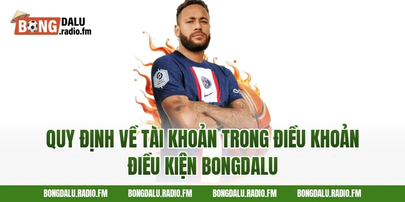 Quy định về tài khoản trong điều khoản điều kiện Bongdalu