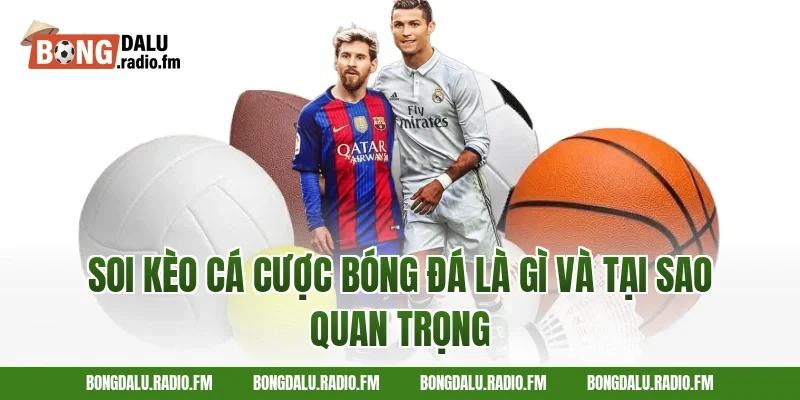 Soi Kèo Cá Cược Bóng Đá Là Gì Và Tại Sao Quan Trọng