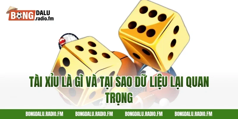 Tài Xỉu Là Gì Và Tại Sao Dữ Liệu Lại Quan Trọng