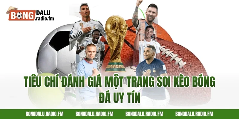 Tiêu chí đánh giá một trang soi kèo bóng đá uy tín