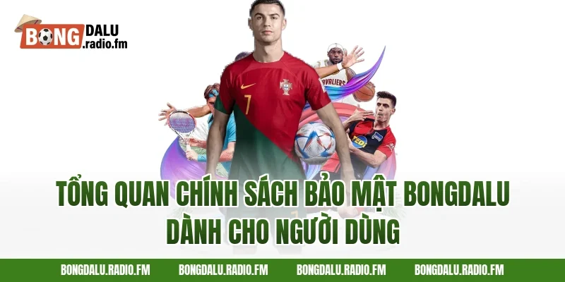 Tổng quan chính sách bảo mật Bongdalu dành cho người dùng