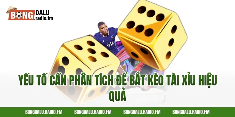 Yếu Tố Cần Phân Tích Để Bắt Kèo Tài Xỉu Hiệu Quả