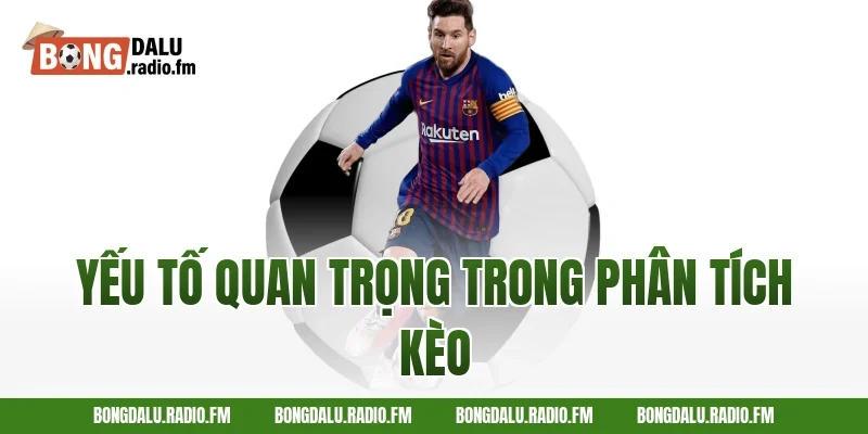 Yếu Tố Quan Trọng Trong Phân Tích Kèo
